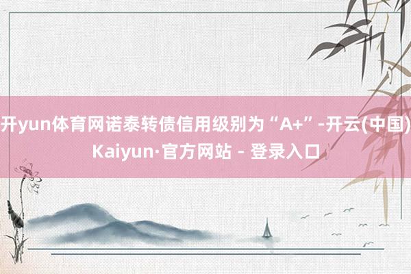 开yun体育网诺泰转债信用级别为“A+”-开云(中国)Kaiyun·官方网站 - 登录入口