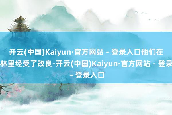 开云(中国)Kaiyun·官方网站 - 登录入口他们在善事林里经受了改良-开云(中国)Kaiyun·官方网站 - 登录入口