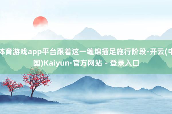 体育游戏app平台跟着这一缠绵插足施行阶段-开云(中国)Kaiyun·官方网站 - 登录入口