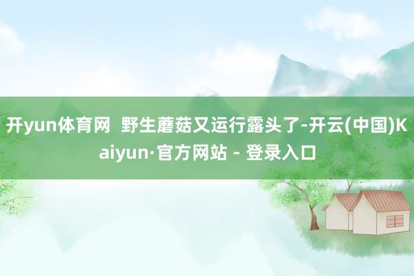 开yun体育网  野生蘑菇又运行露头了-开云(中国)Kaiyun·官方网站 - 登录入口
