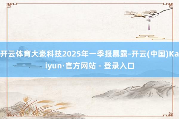 开云体育大豪科技2025年一季报暴露-开云(中国)Kaiyun·官方网站 - 登录入口