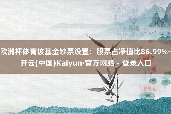 欧洲杯体育该基金钞票设置：股票占净值比86.99%-开云(中国)Kaiyun·官方网站 - 登录入口