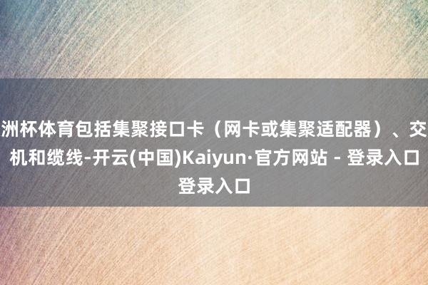 欧洲杯体育包括集聚接口卡（网卡或集聚适配器）、交换机和缆线-开云(中国)Kaiyun·官方网站 - 登录入口