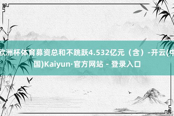 欧洲杯体育募资总和不跳跃4.532亿元（含）-开云(中国)Kaiyun·官方网站 - 登录入口