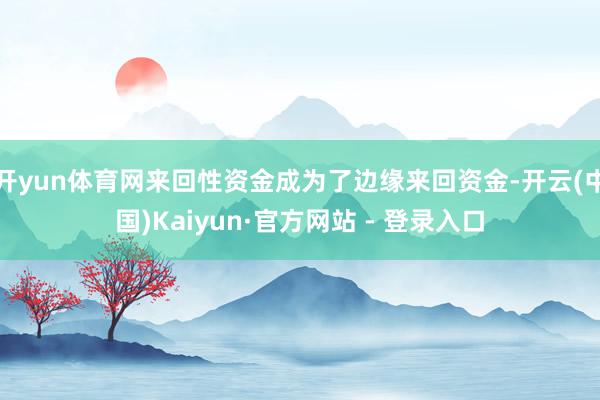 开yun体育网来回性资金成为了边缘来回资金-开云(中国)Kaiyun·官方网站 - 登录入口