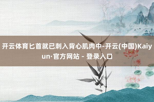 开云体育匕首就已刺入背心肌肉中-开云(中国)Kaiyun·官方网站 - 登录入口