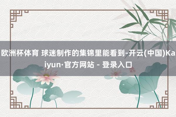 欧洲杯体育 球迷制作的集锦里能看到-开云(中国)Kaiyun·官方网站 - 登录入口