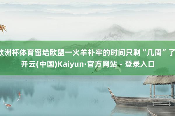 欧洲杯体育留给欧盟一火羊补牢的时间只剩“几周”了-开云(中国)Kaiyun·官方网站 - 登录入口