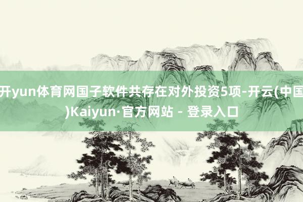 开yun体育网国子软件共存在对外投资5项-开云(中国)Kaiyun·官方网站 - 登录入口